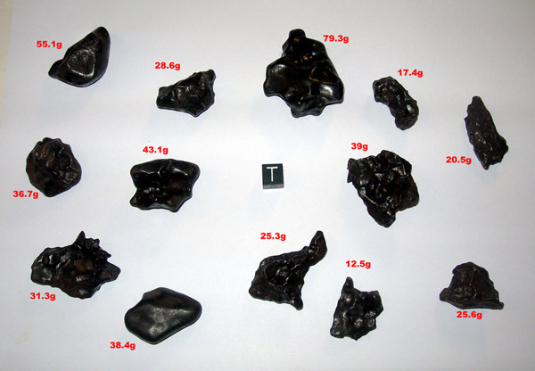 sikhote05